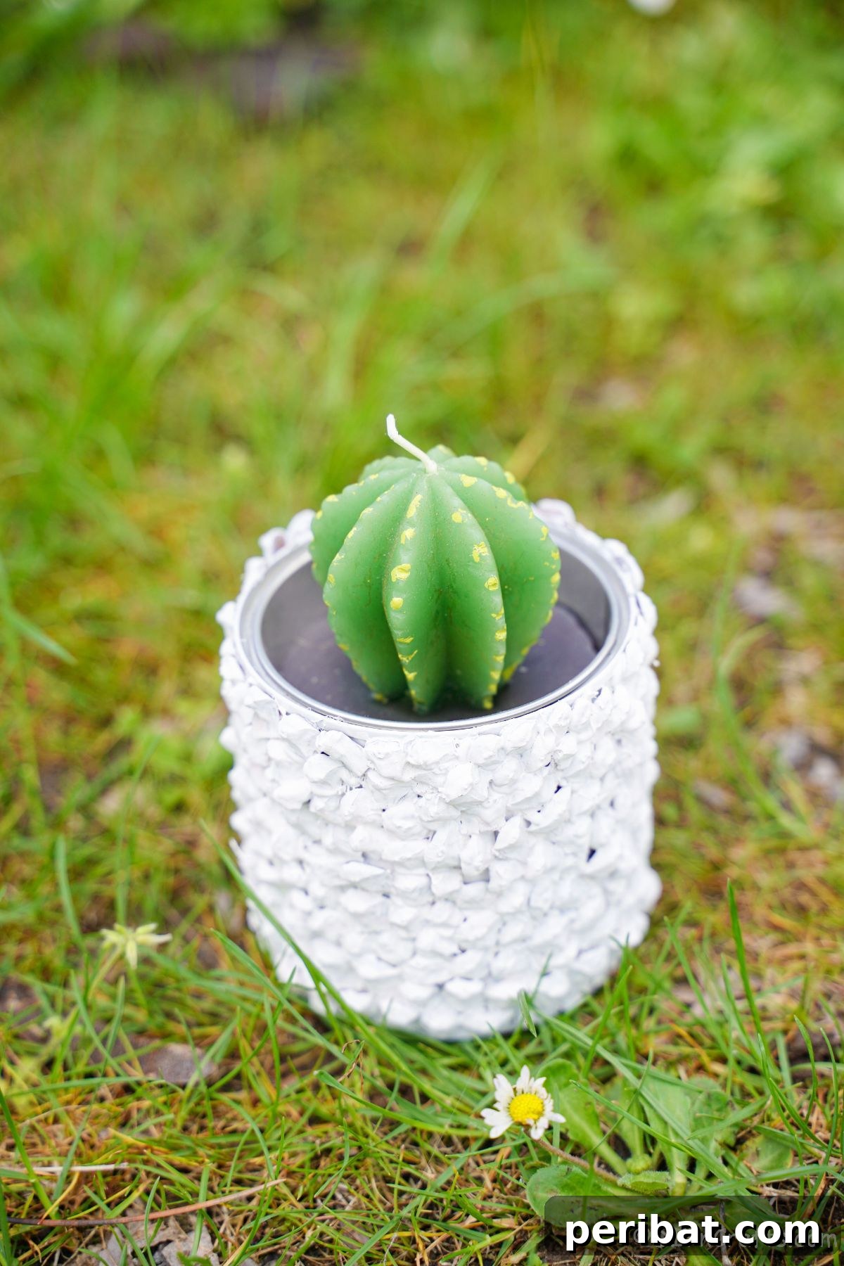 Nature-Inspired Upcycled Tin Can Planters 6 A pristine white upcycled tin can planter, showcasing its rustic pinecone texture, holding a charming green cactus candle, ready for display.
