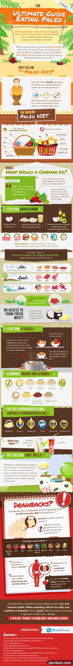 The Paleo Guide