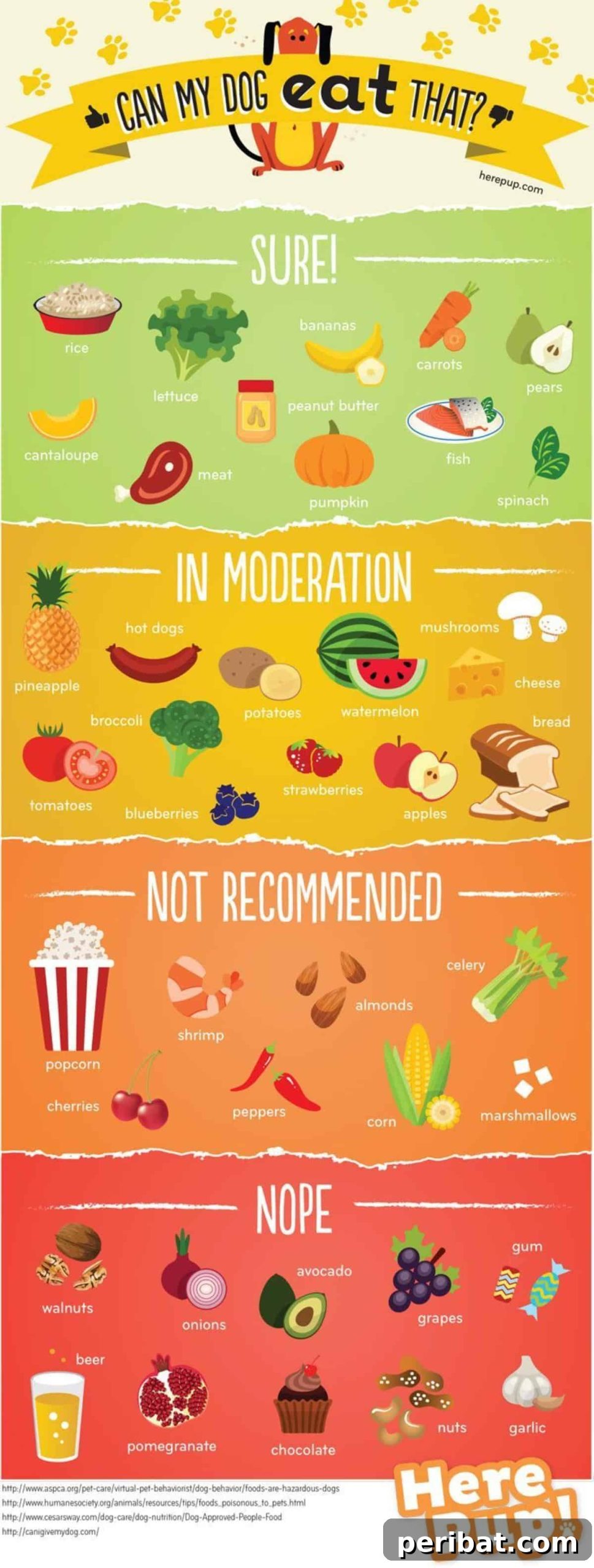 Dog food guide