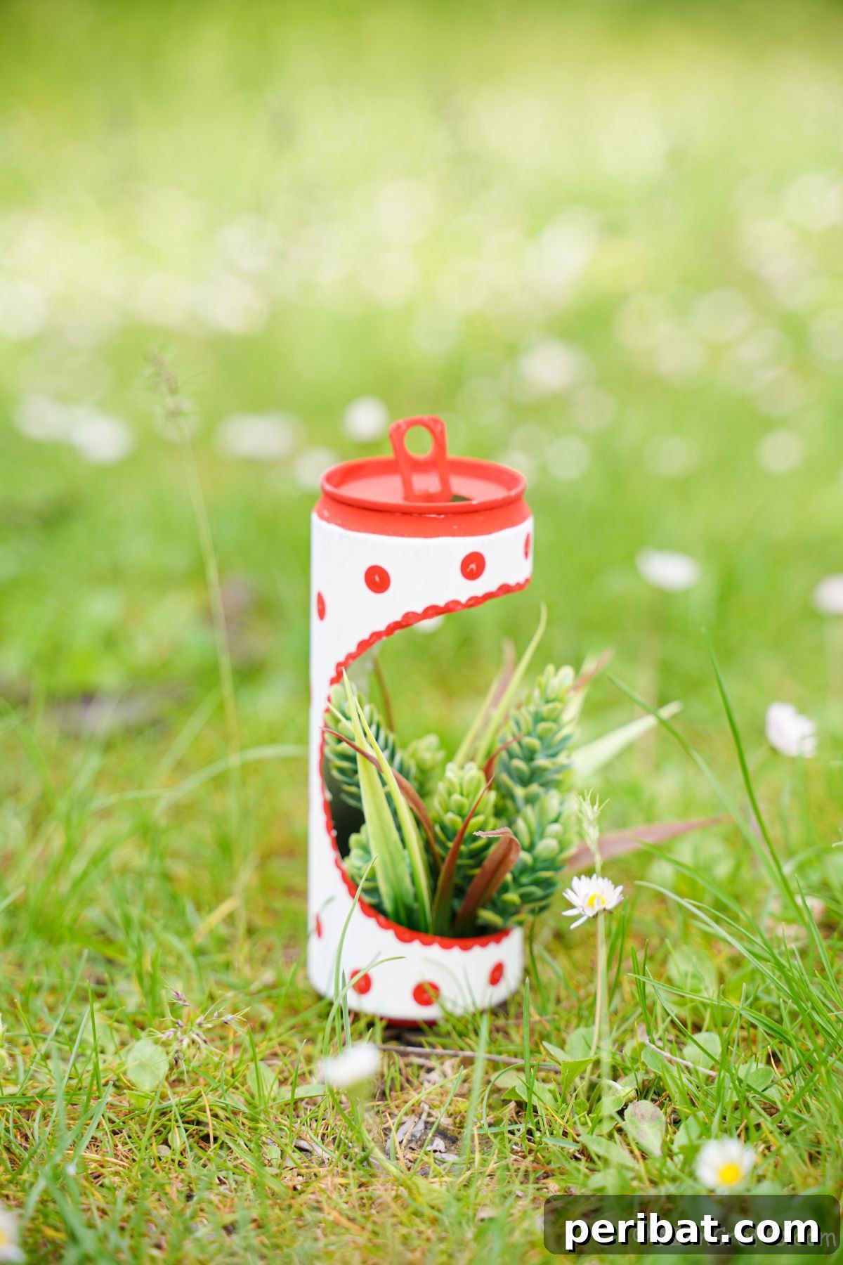 red and white painted soda can planter with succulents