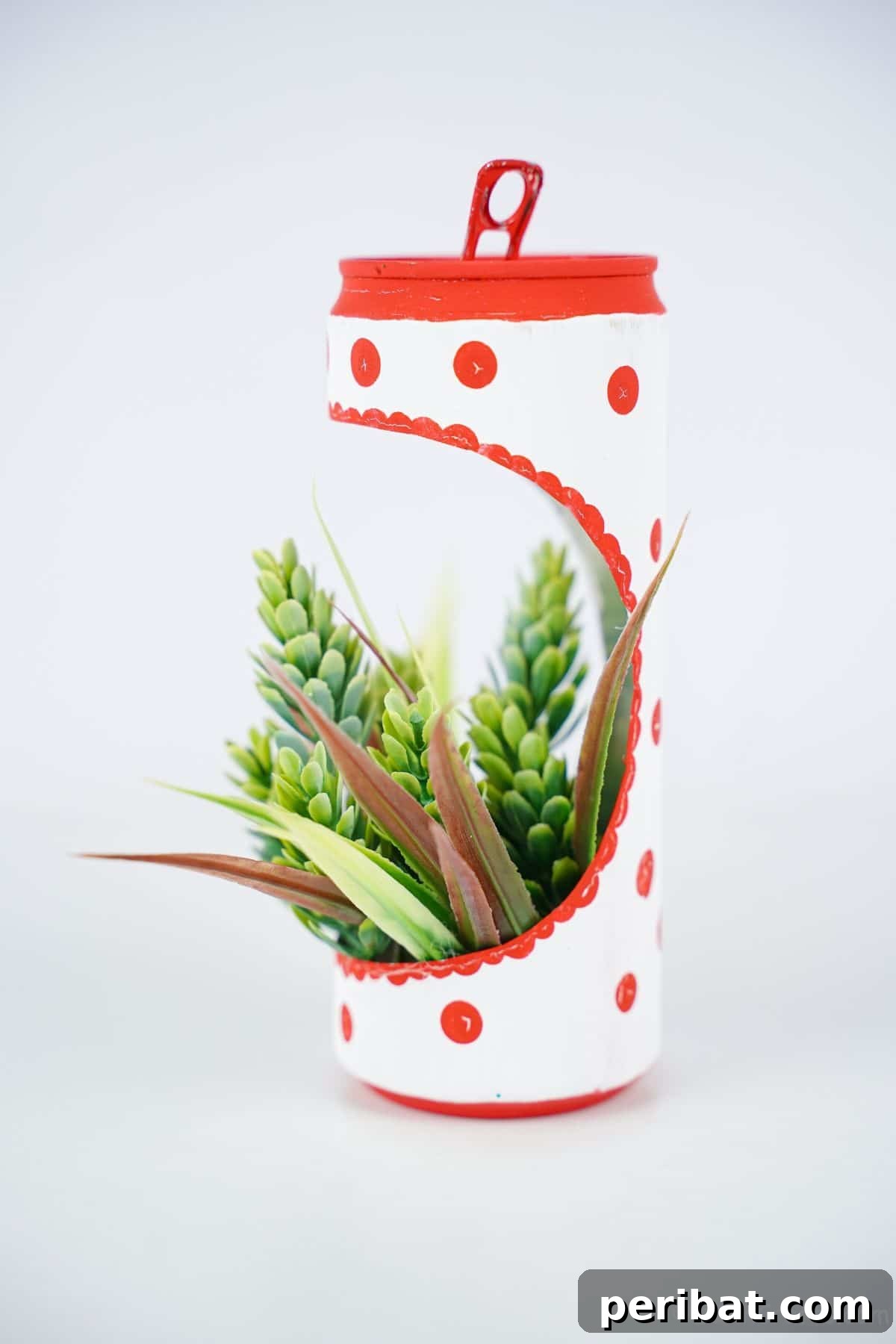 white and red succulent planter on white table