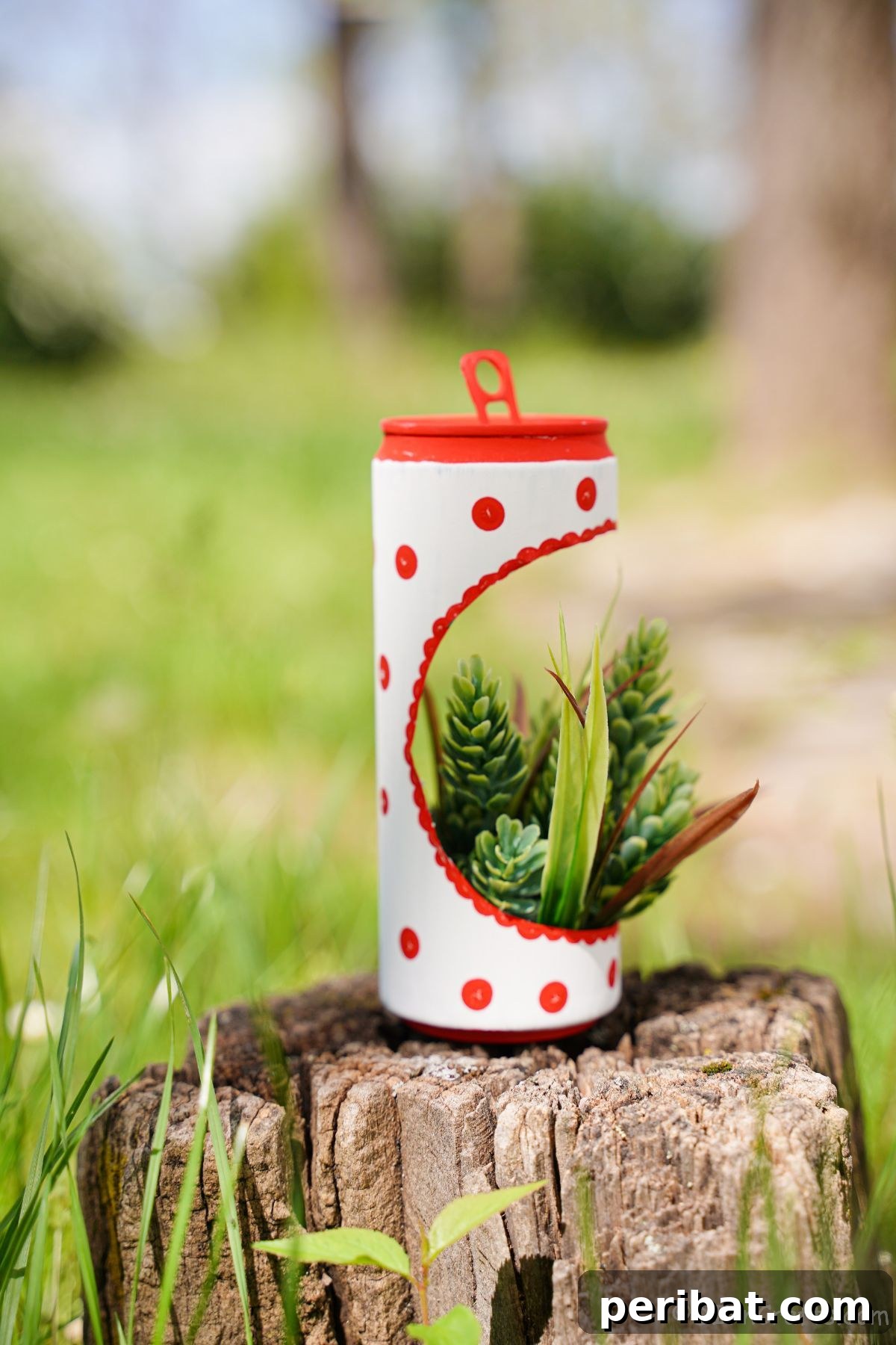 white and red soda can planter on stump
