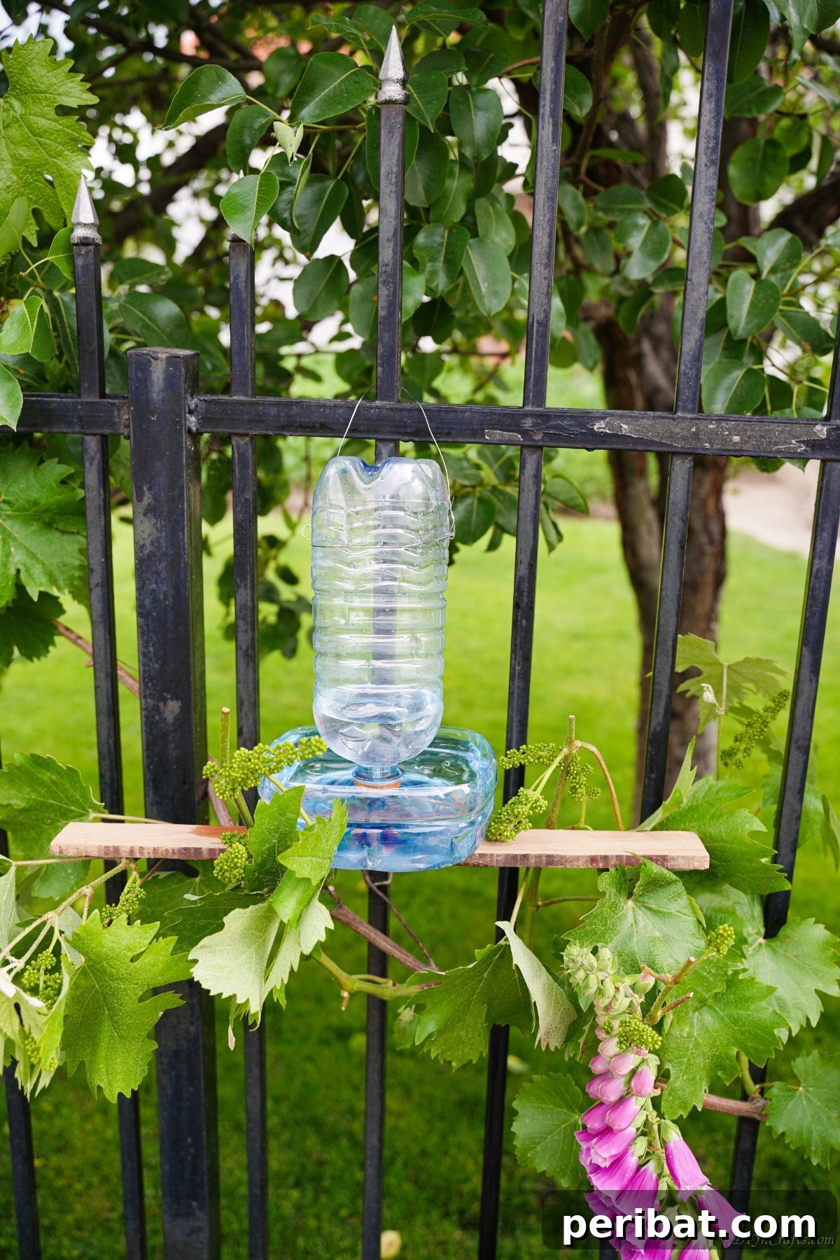 Recycled Bottle Bird Retreat 4 recycled plastic bottle bird waterer hanging securely on a black iron gate, demonstrating sturdy installation