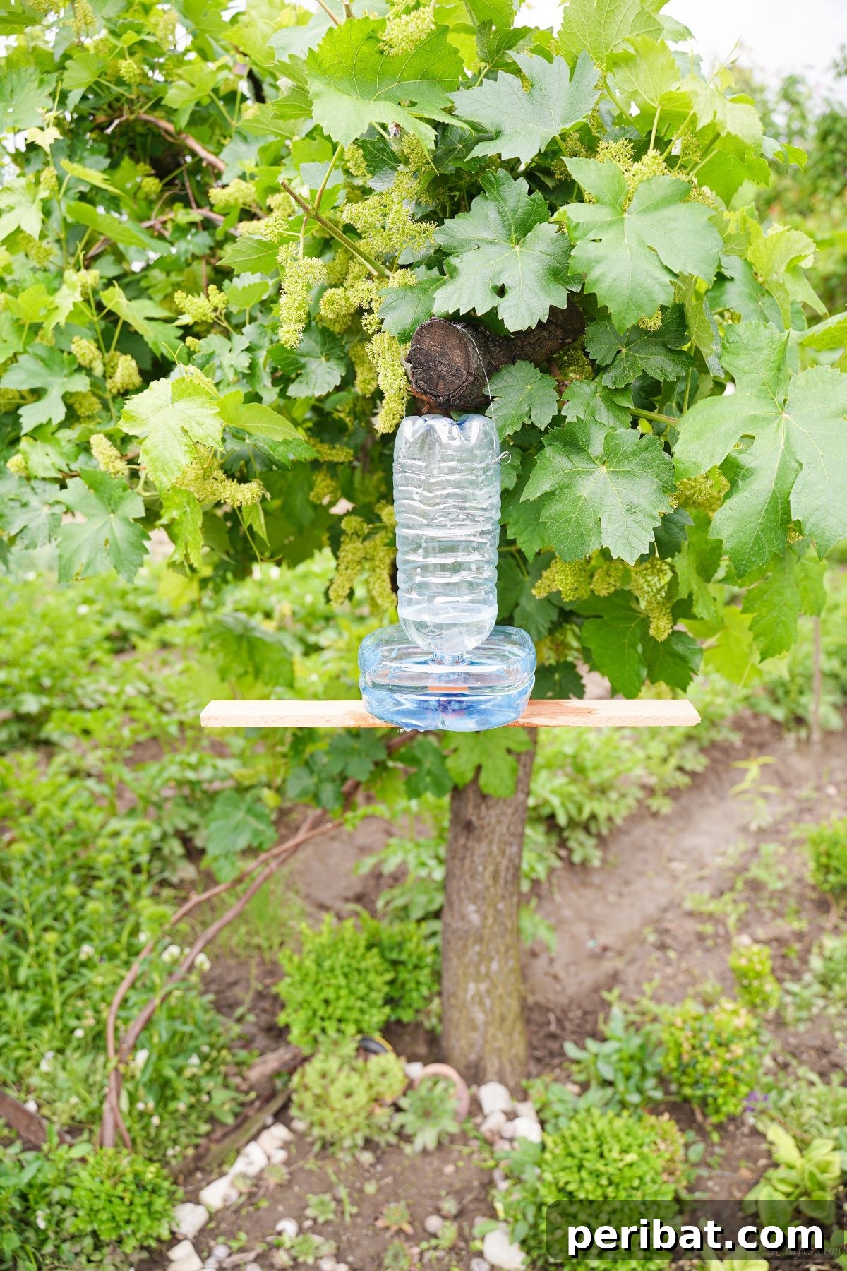Recycled Bottle Bird Retreat 25 a plastic bottle bird waterer beautifully hanging in a lush tree, offering hydration to garden birds