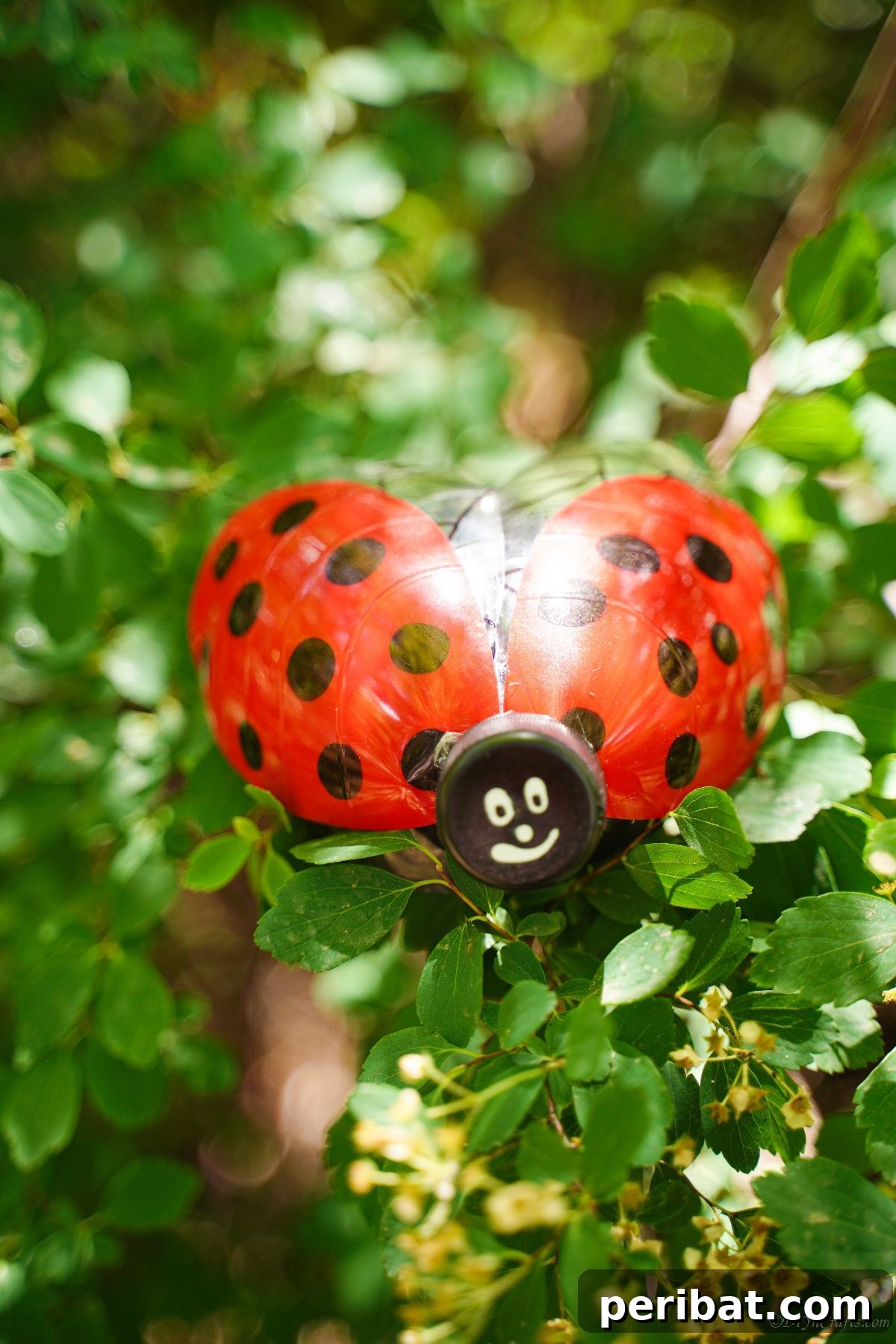 Charming Ladybug Garden Decor from Upcycled Bottles 2 Vibrant red and black plastic bottle ladybug resting on a green shrub, showcasing upcycled garden decor.