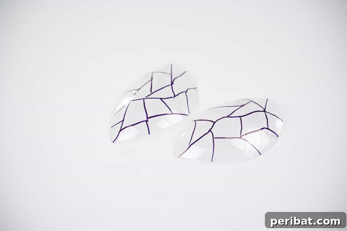 Charming Ladybug Garden Decor from Upcycled Bottles 21 two clear wings with black veins on table