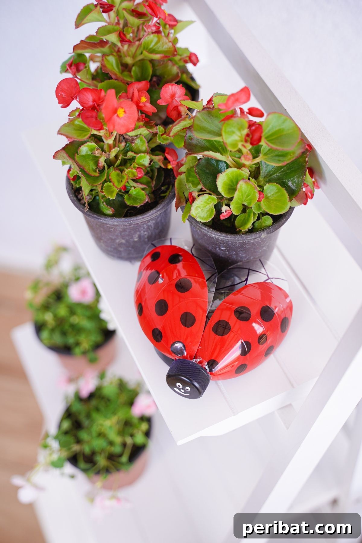Charming Ladybug Garden Decor from Upcycled Bottles 4 A white shelf adorned with various potted plants and a colorful plastic bottle ladybug decoration, enhancing the indoor greenery.