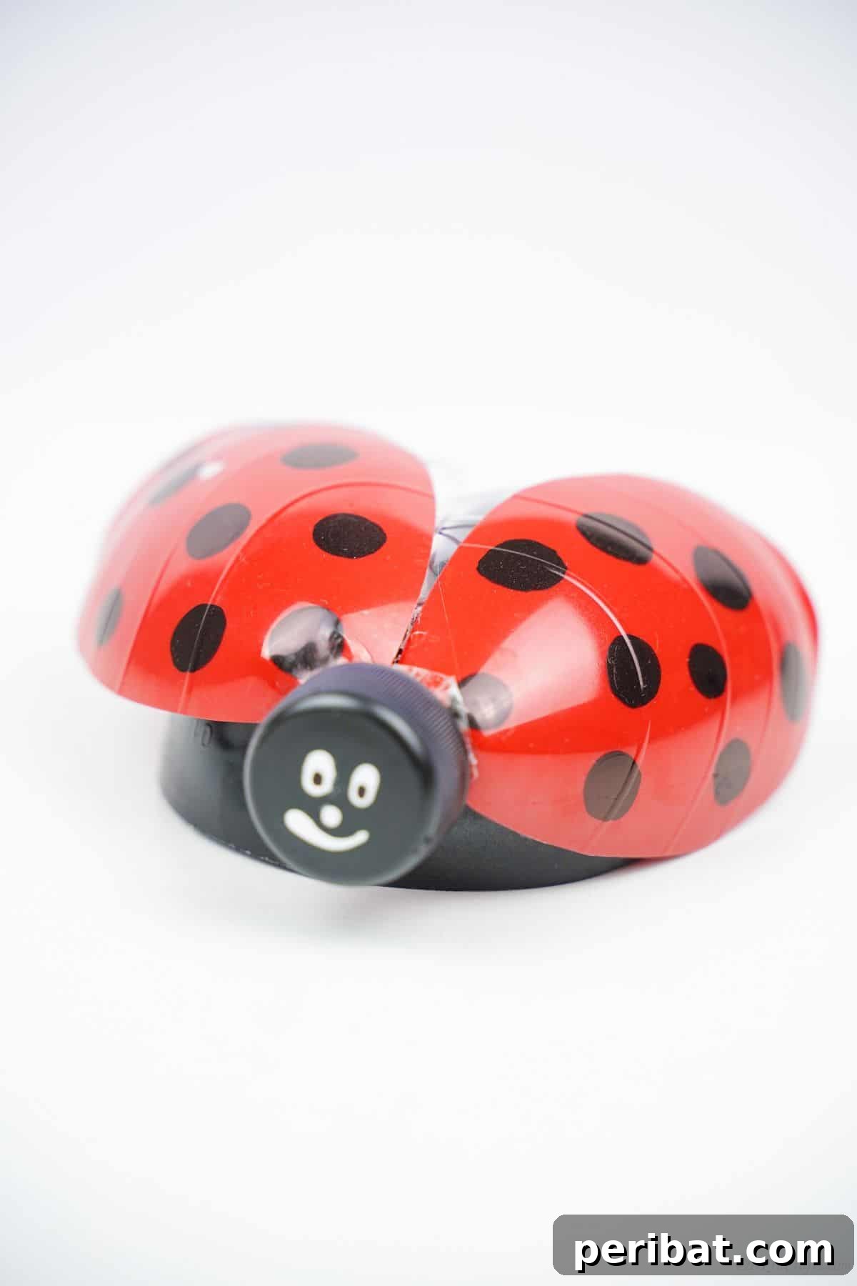 Charming Ladybug Garden Decor from Upcycled Bottles 28 A finished plastic bottle upcycled ladybug garden decoration artfully displayed on a clean white table, highlighting its craftsmanship.