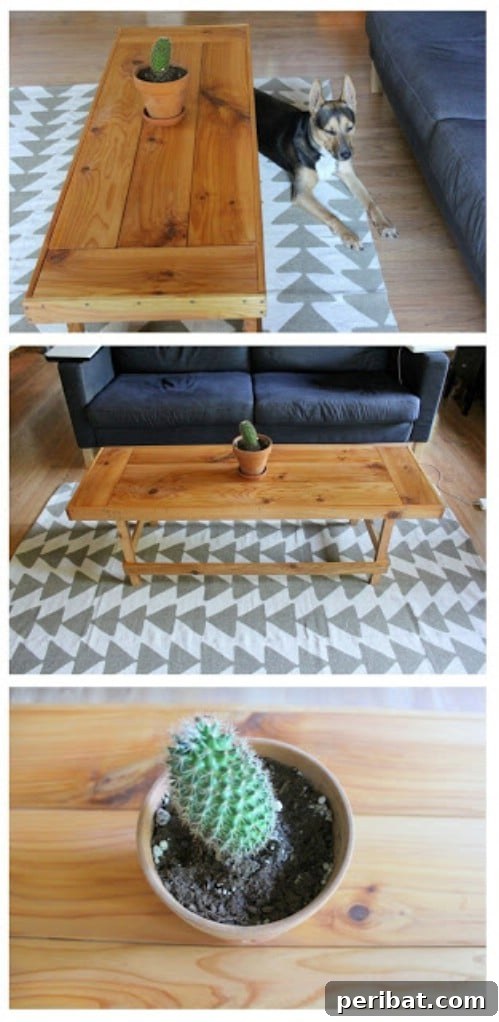 26 Creative DIY Coffee Table Designs to Enhance Your Home 27 The Budget-Friendly Table