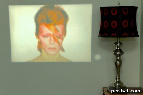 DIY Shoebox Phone Projector