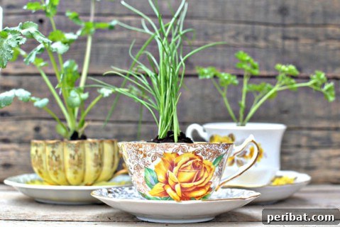 Beyond the Brew: 25 Beautiful Ways to Repurpose Old Teacups 17 Teacup Herb Garden Planters