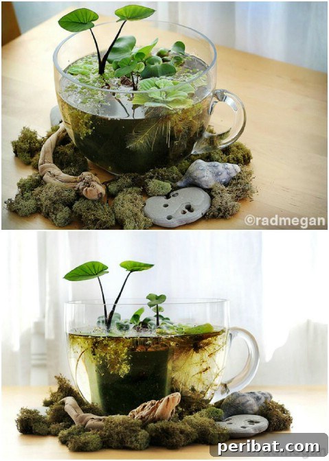 Beyond the Brew: 25 Beautiful Ways to Repurpose Old Teacups 26 Teacup Terrarium Indoor Garden
