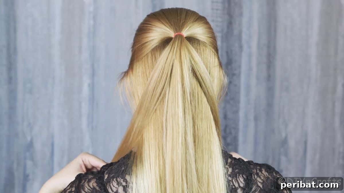 Charming Half-Up Viking Braids 5 half up ponytail in place, ready for braiding