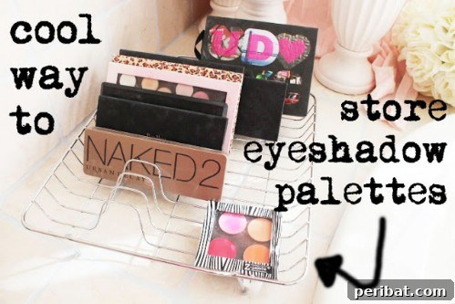 Eyeshadow palettes stored vertically in a repurposed dish drying rack
