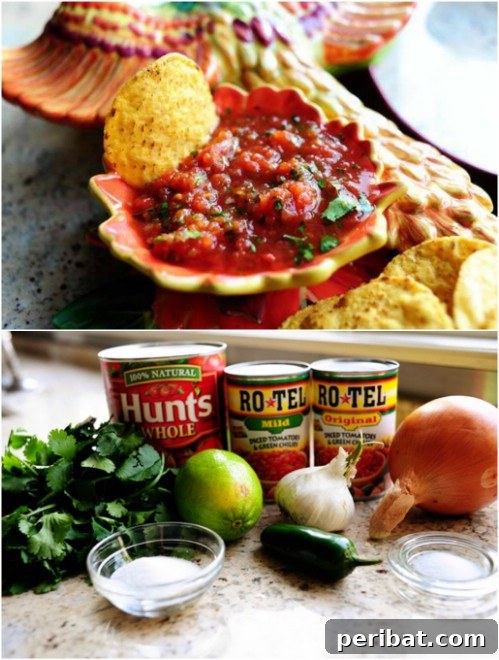 Tomato Salsa