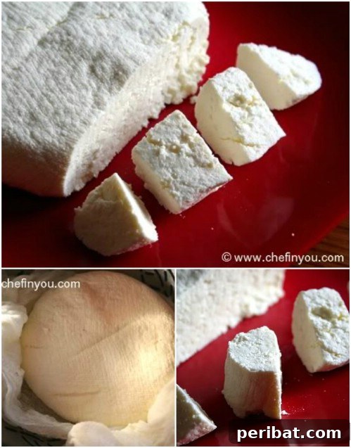 Ricotta