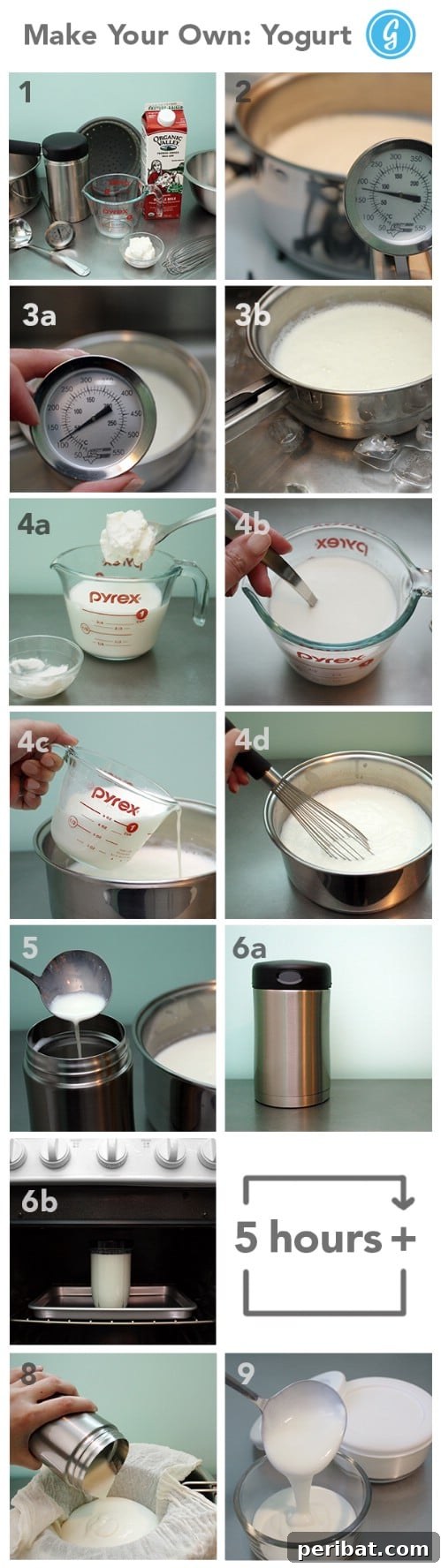 Yogurt