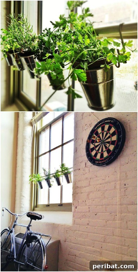 Indoor Hanging Herb Garden with Tension Rod