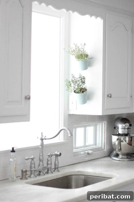 Indoor Herb Garden