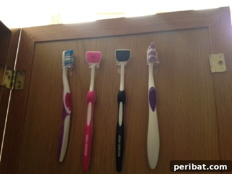 Toothbrush Holders