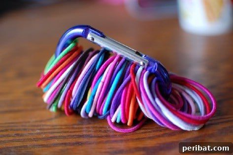 85 Genius Home Organization and Storage Hacks for Every Space 33 Hair ties organized on a carabiner