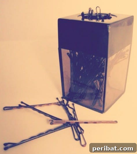 85 Genius Home Organization and Storage Hacks for Every Space 47 Magnetic paperclip holder storing bobby pins