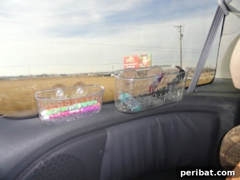 85 Genius Home Organization and Storage Hacks for Every Space 86 Suction cup shower caddies attached to a car window for holding snacks and toys