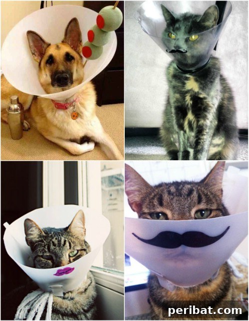 Cone Heads
