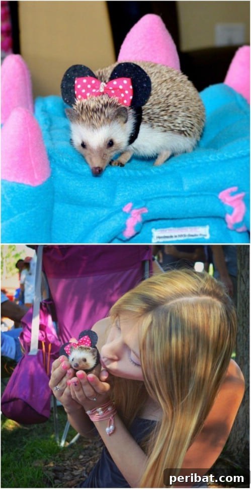 Minnie Hedgehog