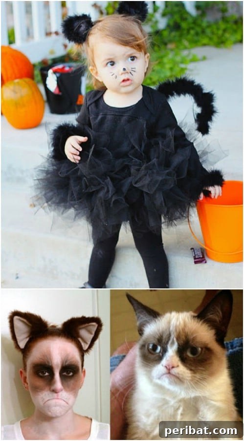 31 Howlingly Good DIY Adult Halloween Costumes to Snag the Grand Prize 30 Grumpy Cat