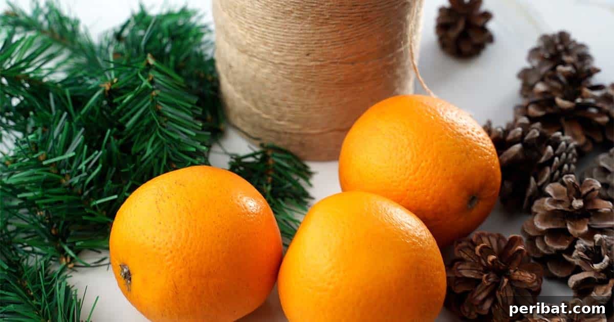 Citrus Slice Garland 4 supplies to make a dried orange garland