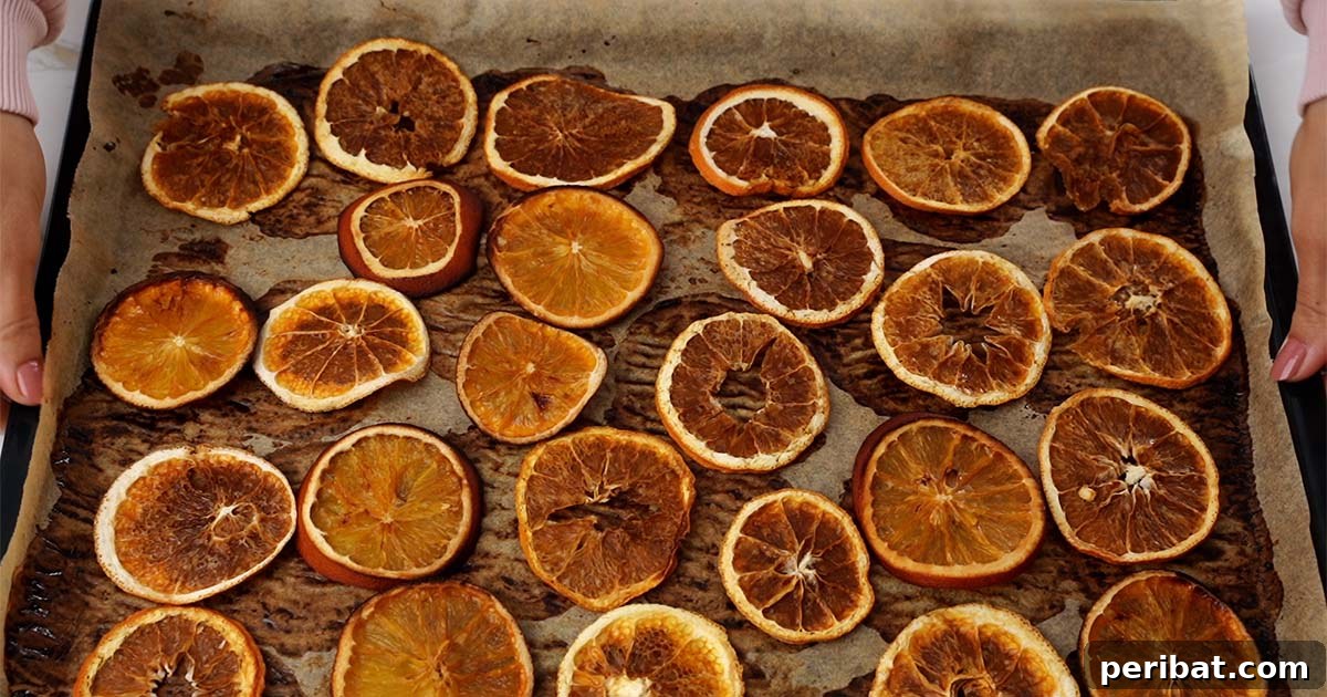 Citrus Slice Garland 7 how to dry oranges to make a citrus garland