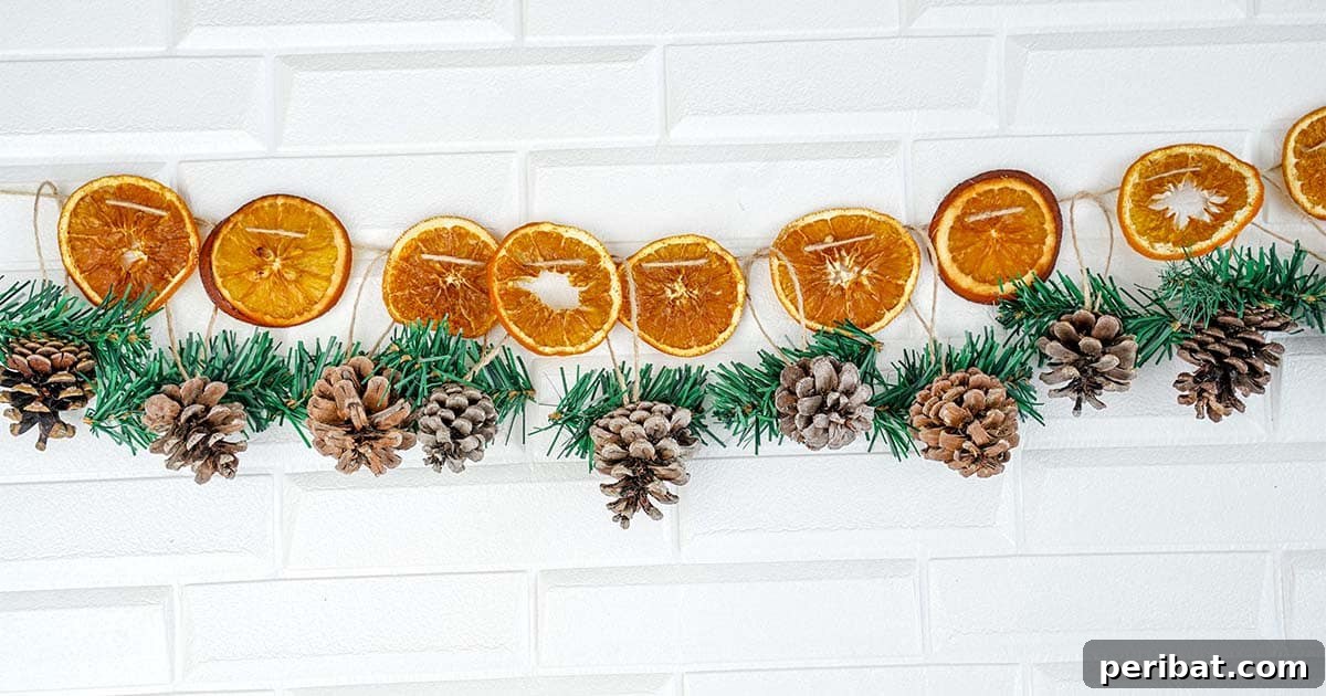 Citrus Slice Garland 10 dried citrus garland for the holidays