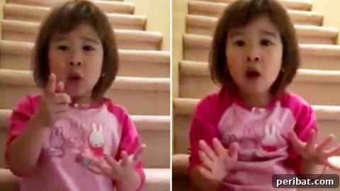 A child's wisdom can guide adults through complex emotions, especially during parental separation.