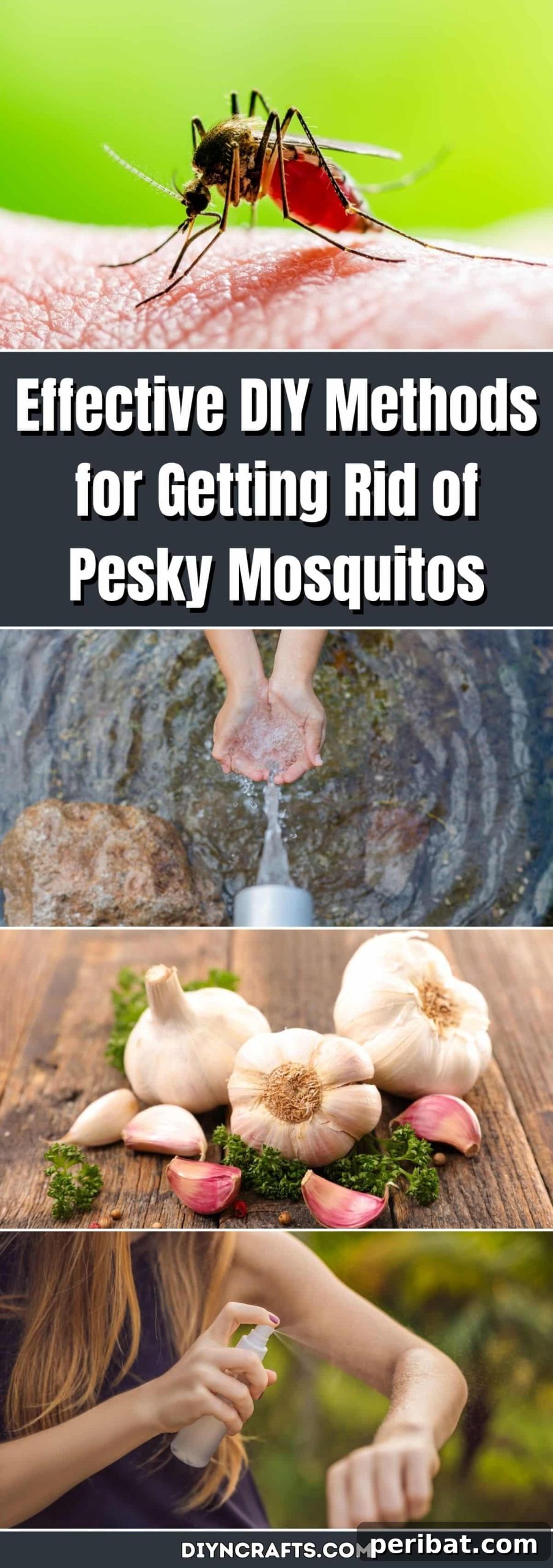 Homemade Hacks for Mosquito-Free Living 2 Effective DIY Methods for Getting Rid of Pesky Mosquitos pinterest image