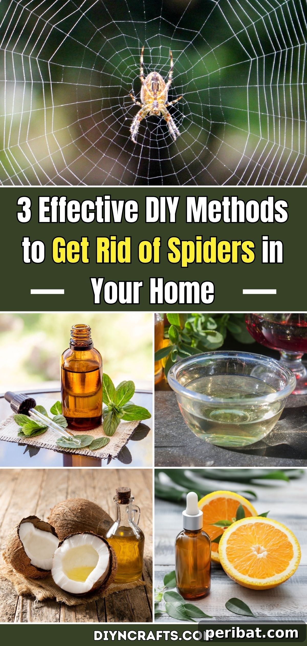 3 Effective DIY Methods to Get Rid of Spiders in Your Home pinterest image