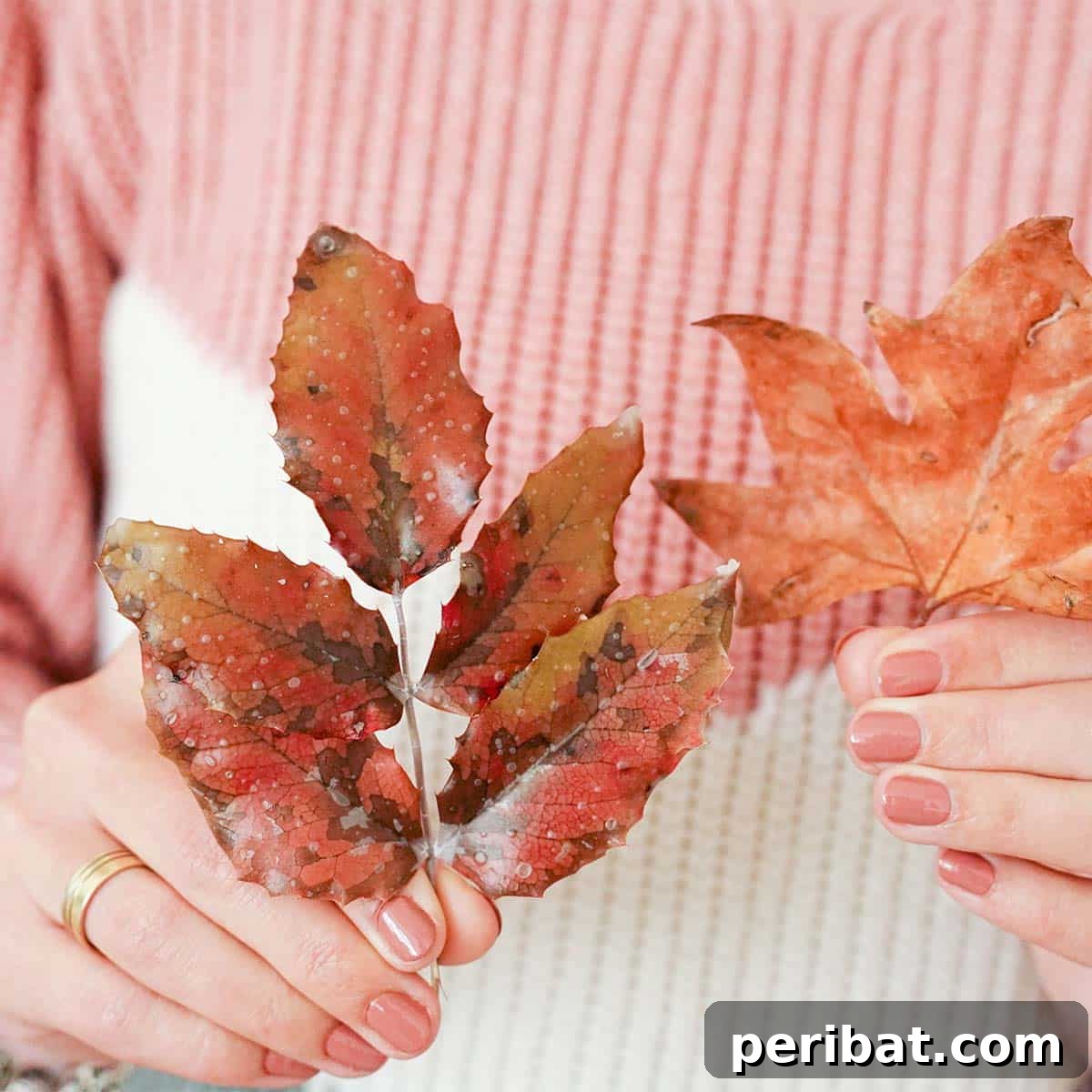 Preserving Autumn's Vibrant Hues 4 diy preserved fall leaves