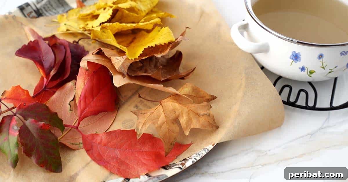 Preserving Autumn's Vibrant Hues 5 supplies needed to make preserved fall leaves
