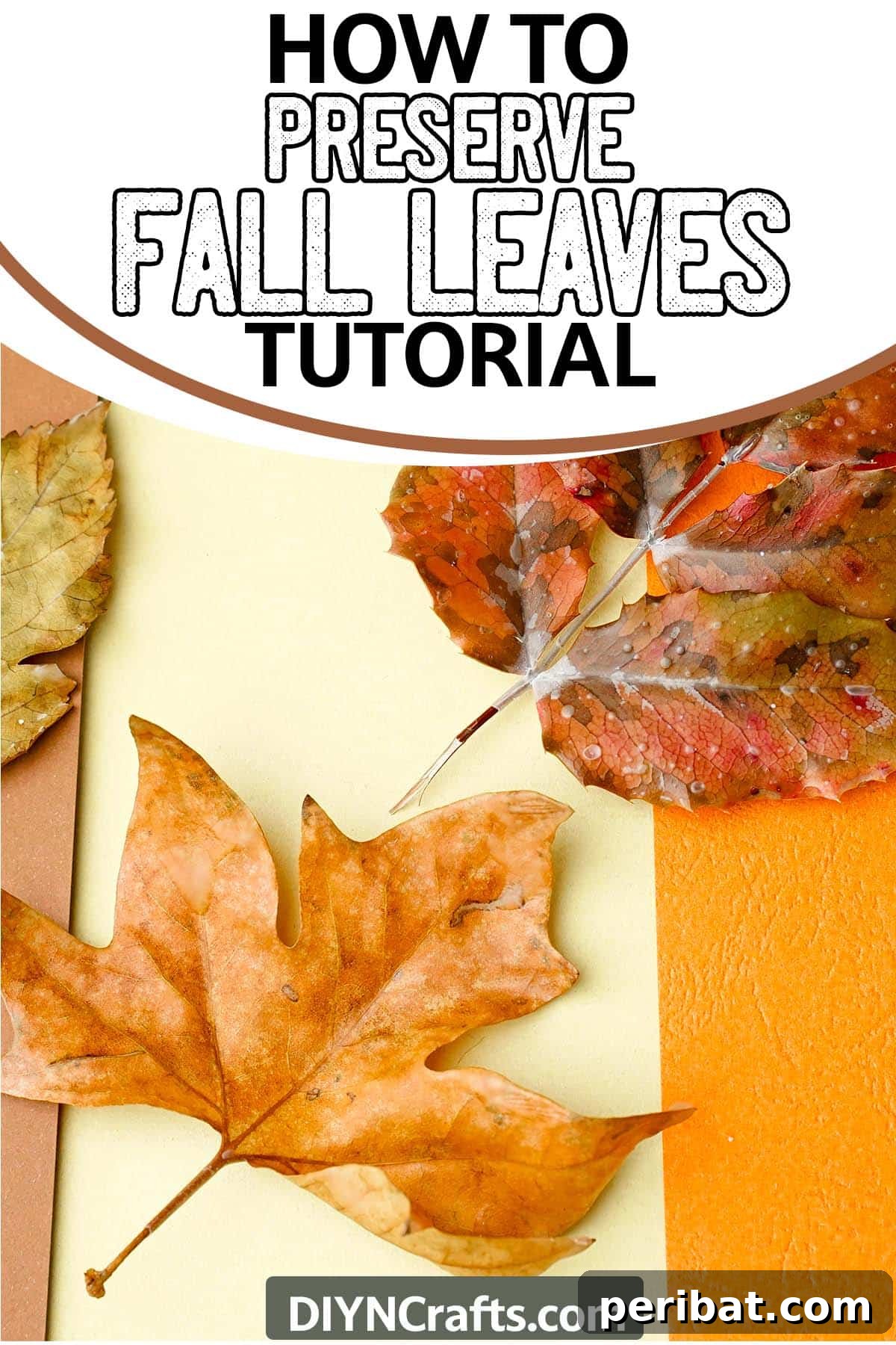 Preserving Autumn's Vibrant Hues 8 simple fall leaf preservation tutorial with text which reads how to preserve fall leaves tutorial