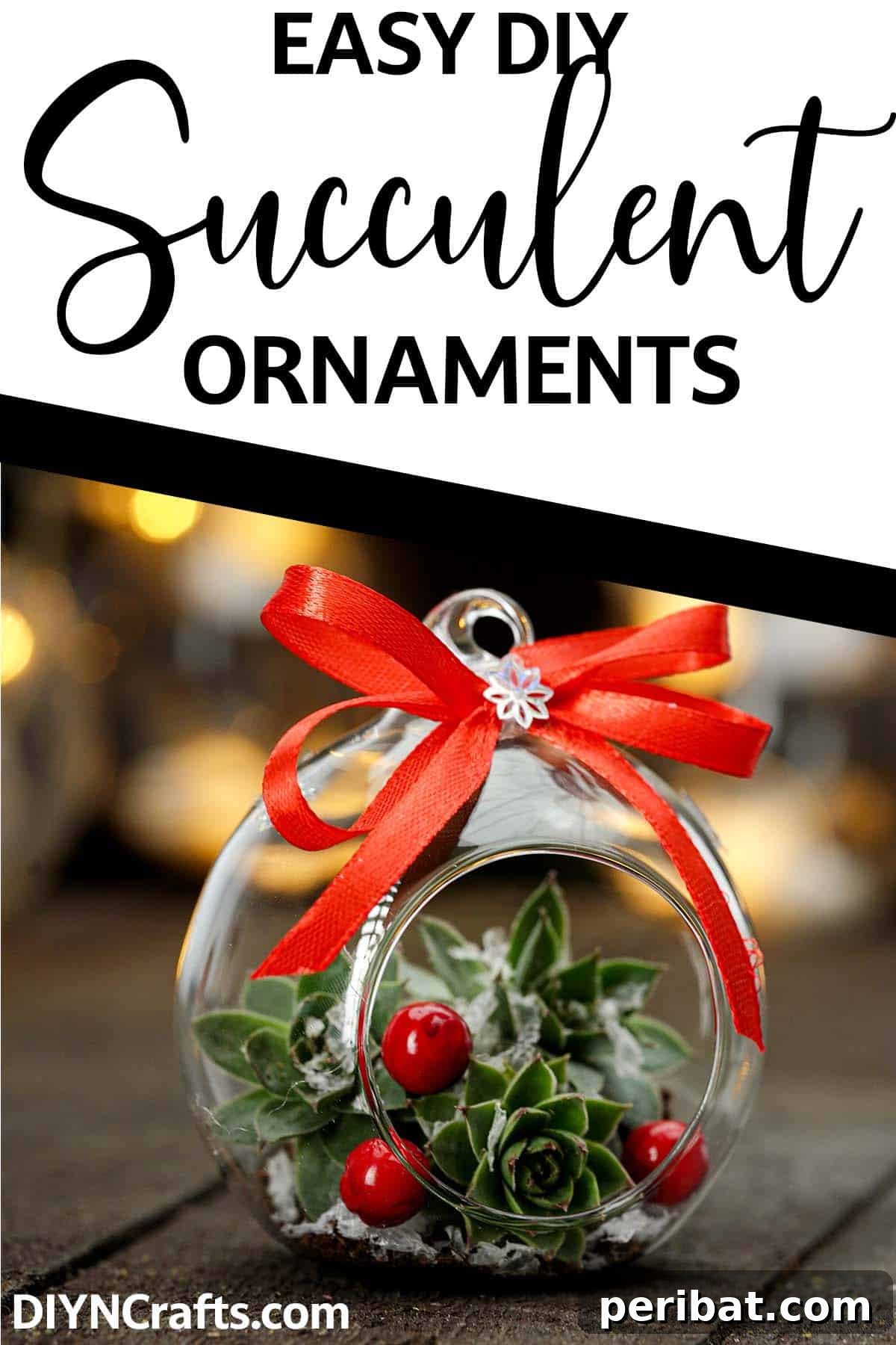 Botanical Baubles 2 Cute ornament with a succulent inside with text which reads Easy DIY Succulent Ornaments
