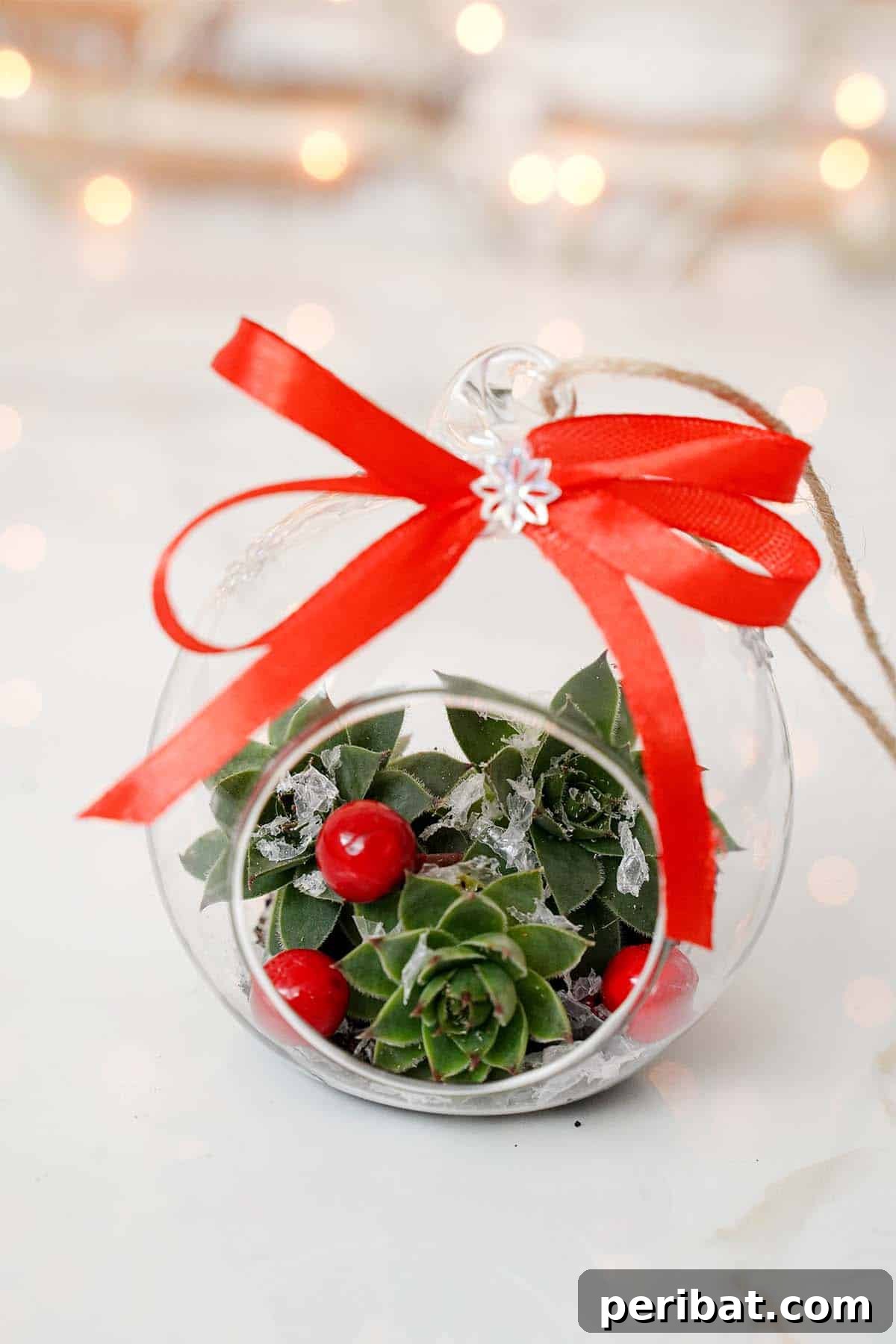 Botanical Baubles 11 Succulent Christmas Ornaments