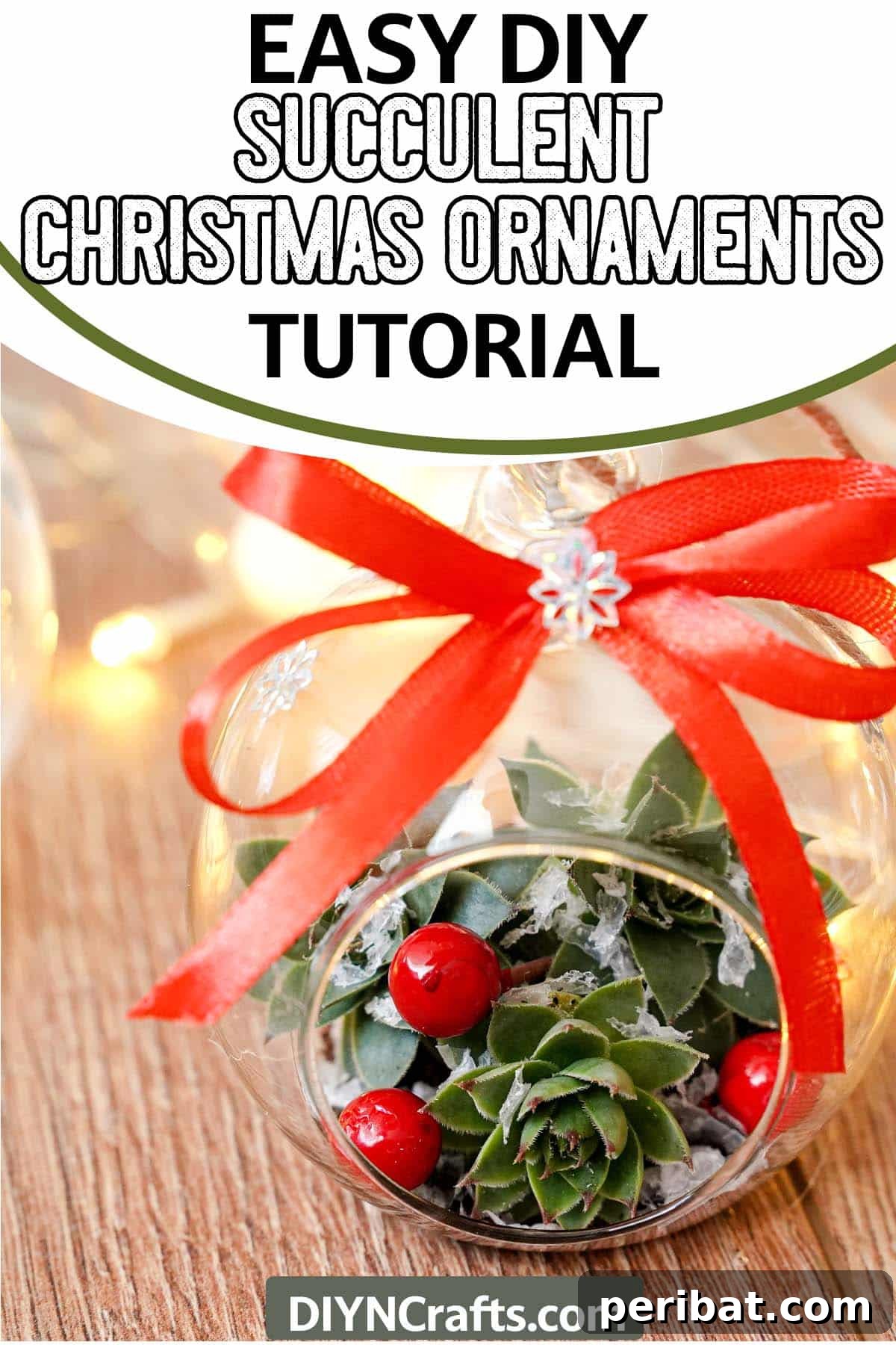 Botanical Baubles 12 Succulent Christmas Ornaments with text which reads Easy DIY Succulent Christmas Ornaments Tutorial