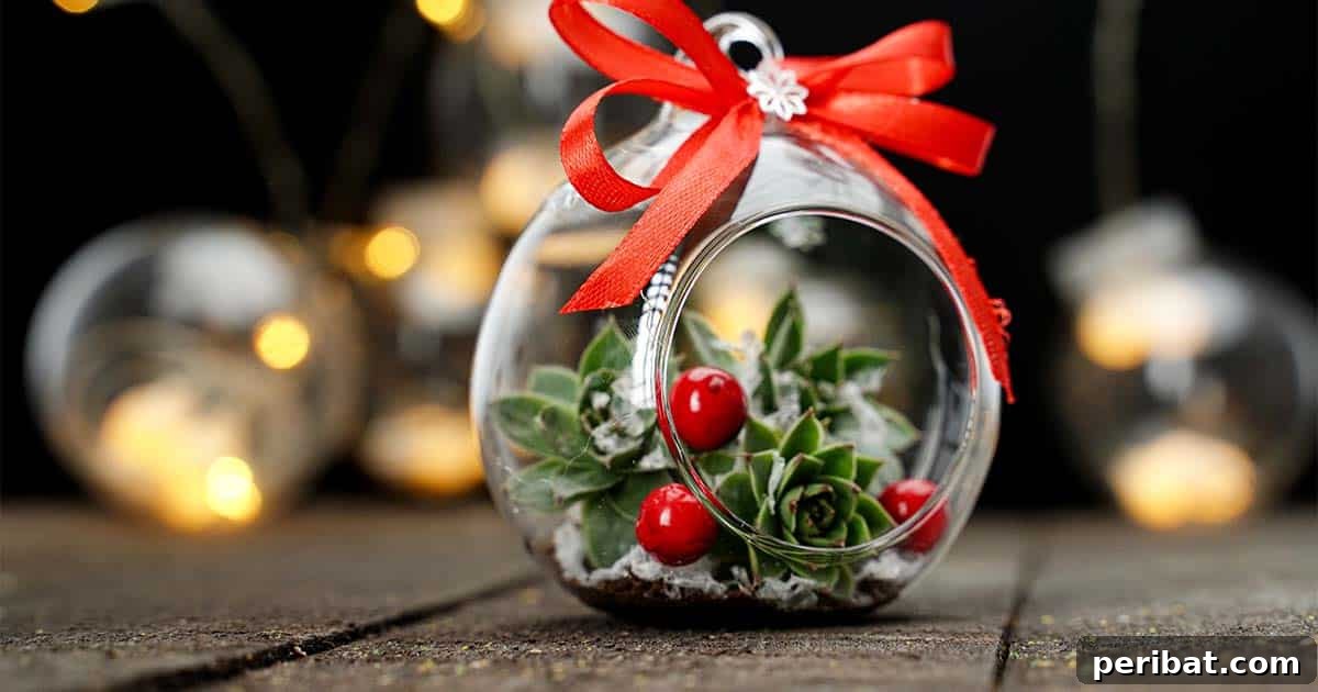 Botanical Baubles 13 Easy DIY Succulent Christmas Ornaments