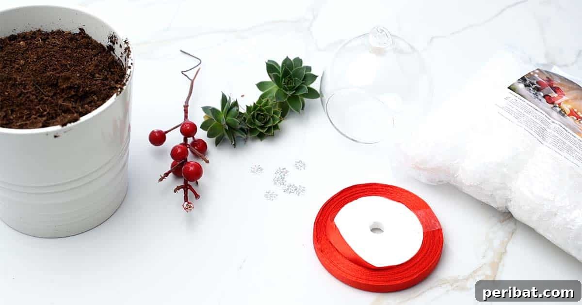 Botanical Baubles 4 Supplies to make succulent Christmas ornaments