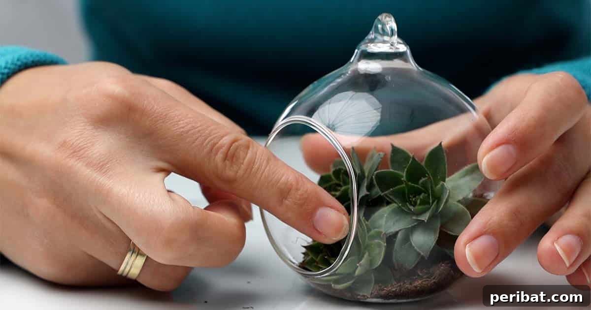 Botanical Baubles 7 How to make succulent Christmas ornaments