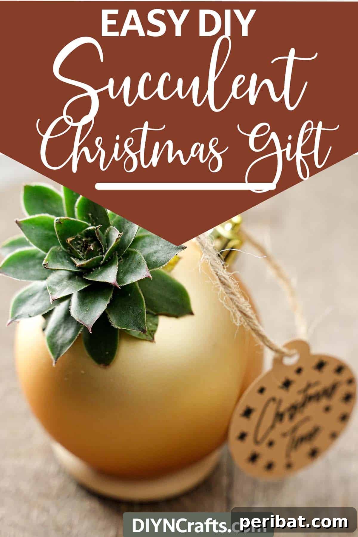 Crafting Festive Succulent Baubles 12 A simple yet elegant Christmas gift idea for succulent lovers, featuring a DIY succulent ornament with text indicating an easy tutorial.