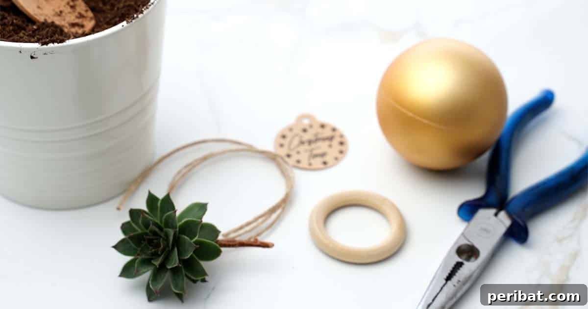 Crafting Festive Succulent Baubles 4 A flat lay photograph showcasing all the supplies needed to make a beautiful Succulent Christmas Gift, including a golden ornament, a small succulent, soil, and tools.