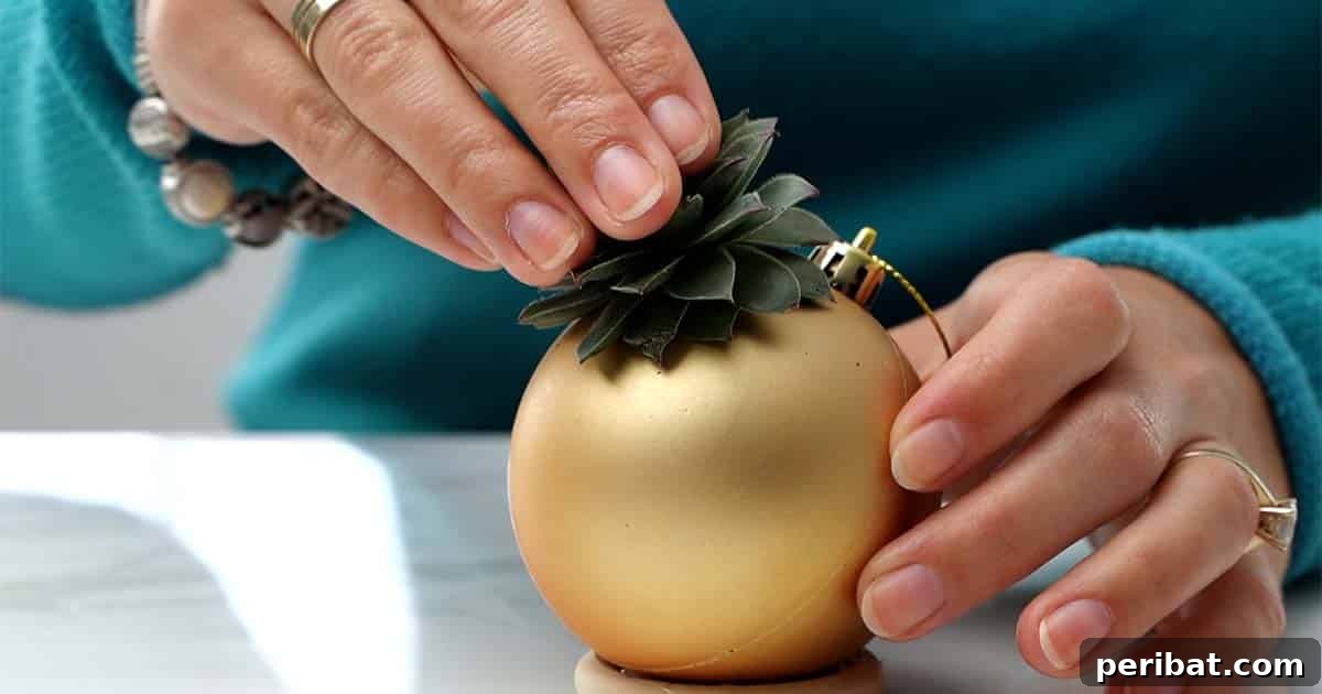 Crafting Festive Succulent Baubles 7 Step showing how to make a Succulent Christmas Gift, specifically filling the ornament with soil.