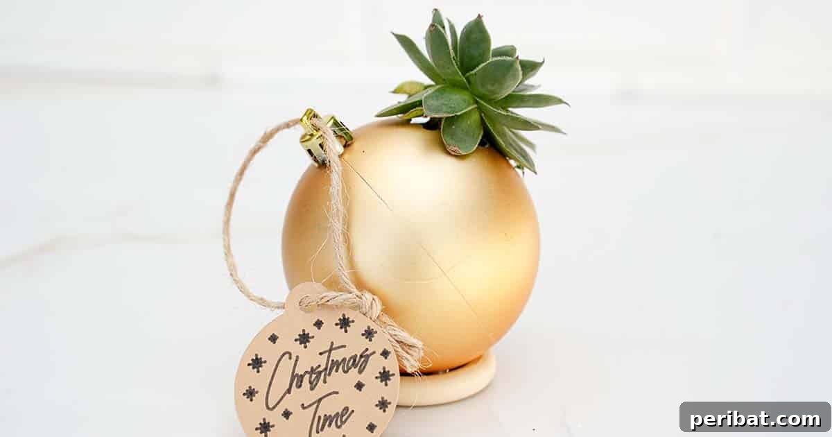 Crafting Festive Succulent Baubles 11 An image showing how to make a Christmas gift with succulents, highlighting the simplicity and beauty of the finished product.