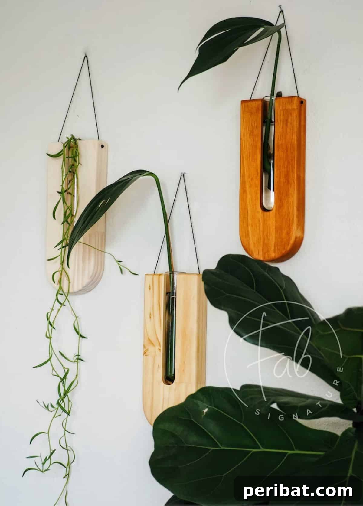120 Inspiring DIY Boho Decor Ideas and Projects 60 Sustainable boho modern wall planter from Australian pine with removable glass tubes, doubling as a propagation station.